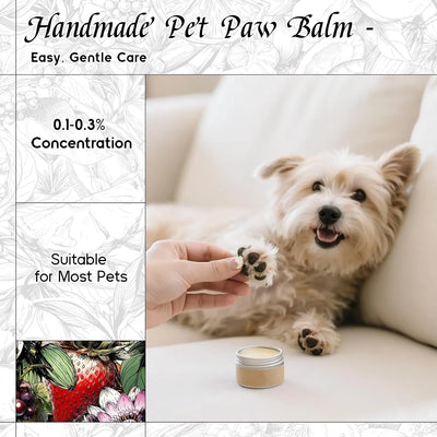 Pomegranate Halo Fragrance Oil