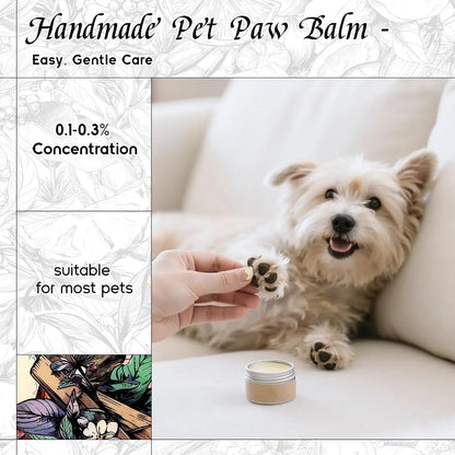 Water Lily Moonbeam Fragrance Oil