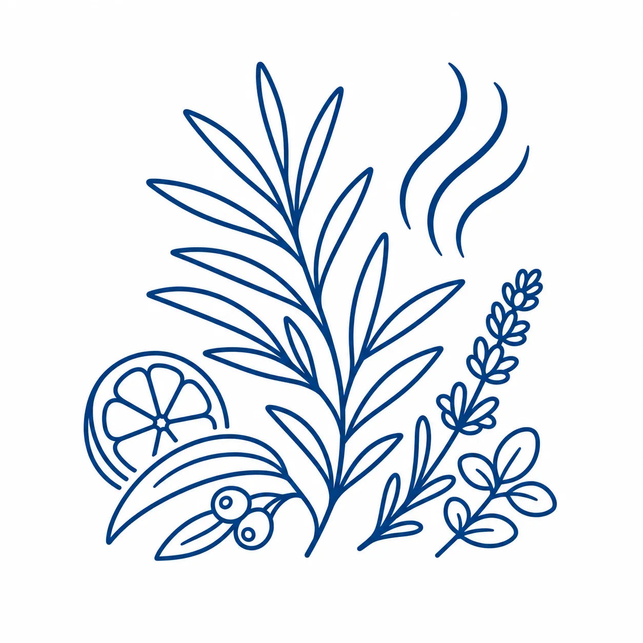Tea tree branch with fresh herbal scent waves and complementary botanical notes