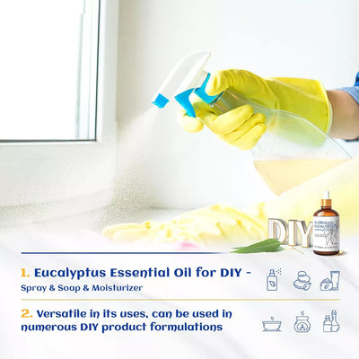 HIQILI Cleaning window with DIY natural spray using HIQILI Globulus Eucalyptus Essential Oil for safe household care.