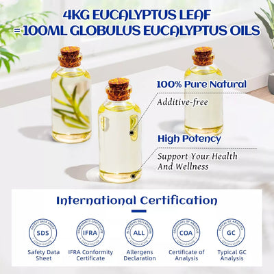 HIQILI 100% pure HIQILI Eucalyptus Essential Oil showing high potency and international safety certifications like GC and COA.