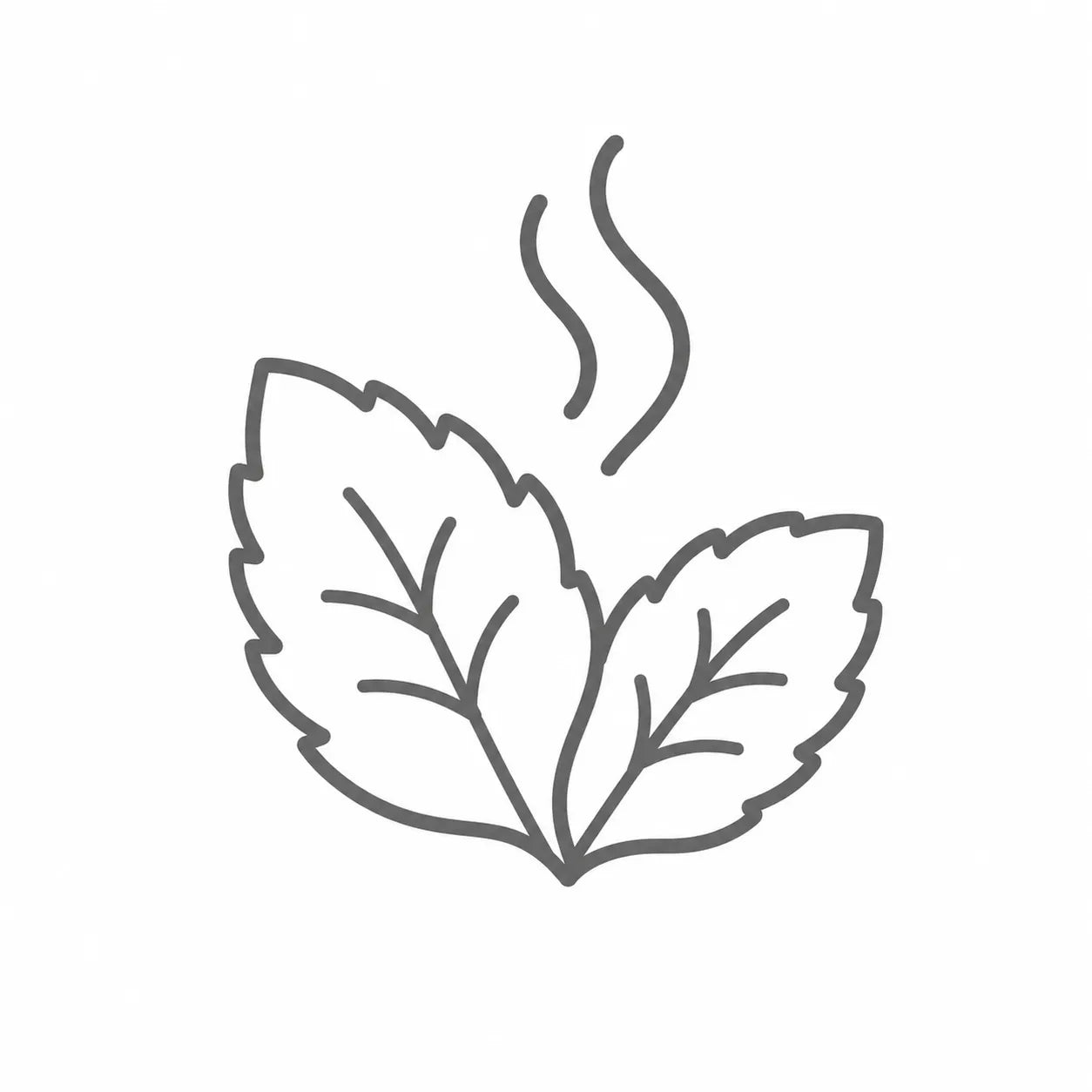 Gentle Mint Aroma