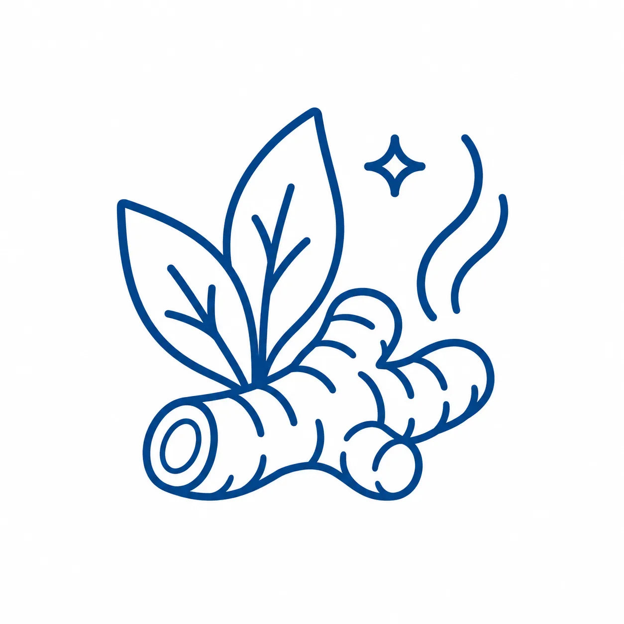 Turmeric root with leaves and aroma waves representing a warm earthy herbal scent