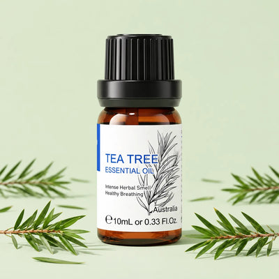 HIQILI Tea Tree Essential Oil 10 mL amber bottle with tea tree leaves