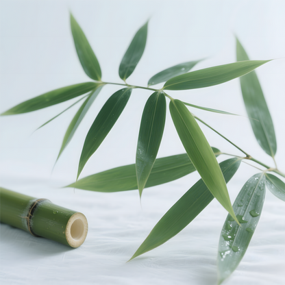 Bamboo Fragrance Oil