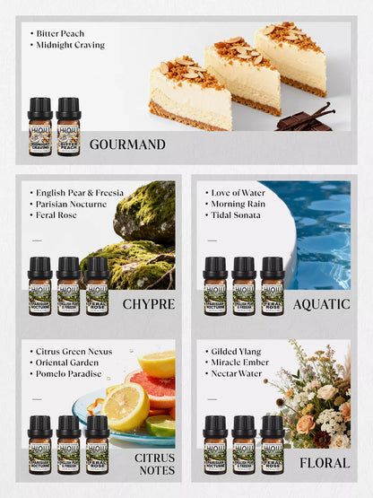 The Olfactory Library: 32pcs Fragrance Discovery Set