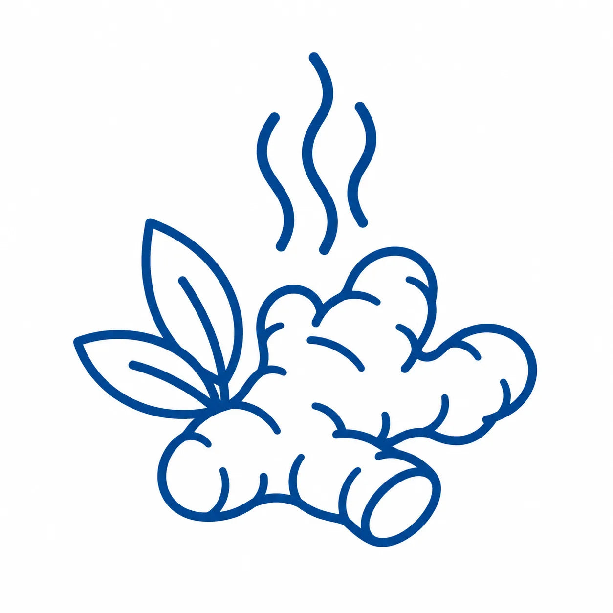 Ginger root with leaves and aroma waves representing a warm, spicy and earthy scent
