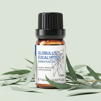 Globulus Eucalyptus Essential Oil