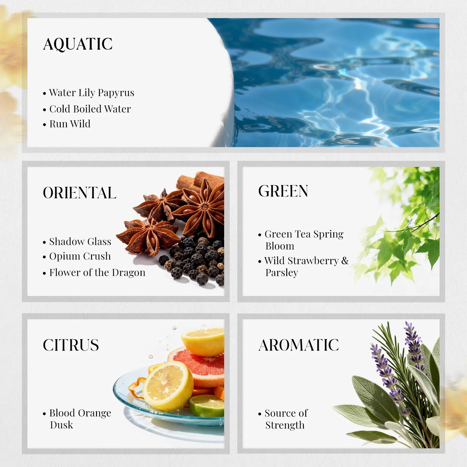 The Olfactory Library: 32pcs Fragrance Discovery Set 02