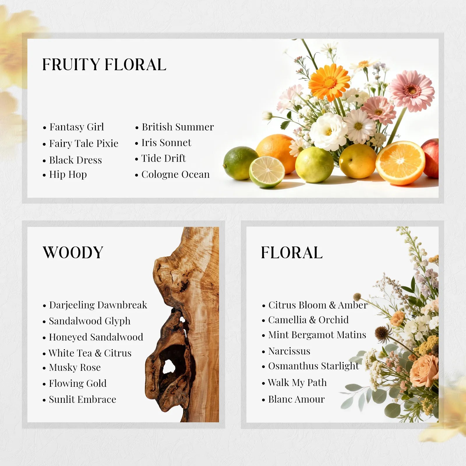 The Olfactory Library: 32pcs Fragrance Discovery Set 02