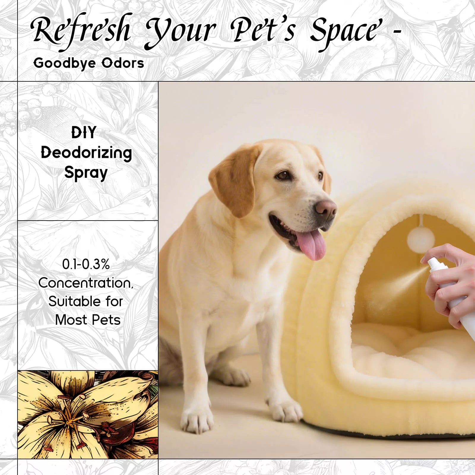 HIQILI Vanilla Fragrance Oil deodorizing spray use near pet space