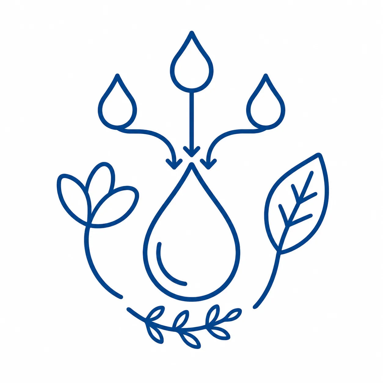 Essential oil drops blending with botanical leaves to create balanced aroma combinations