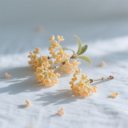 osmanthus fragrance oil