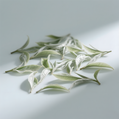 HIQILI White Tea Fragrance Oil