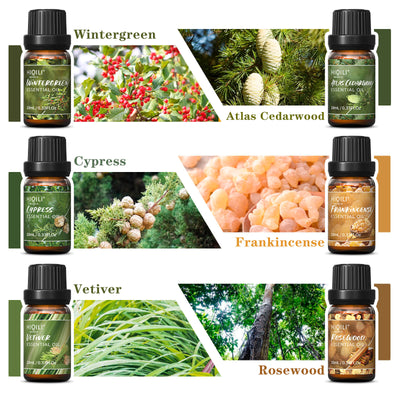 HIQILI Woodsy Essential Oil Set 6x10ml