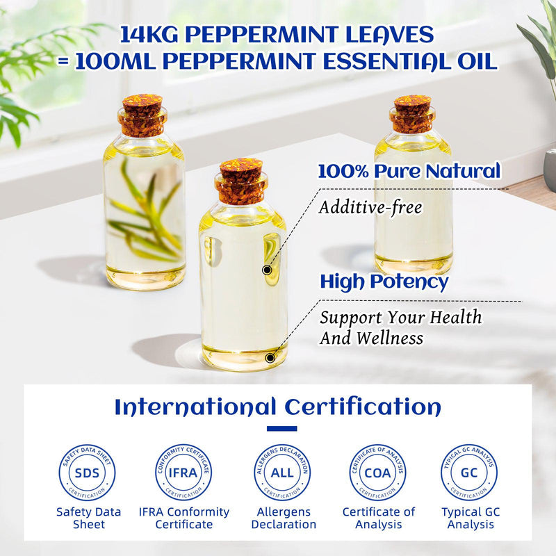 plnt Pure Living Organic 100% Pure Aromatherapy Peppermint Essential Oil | The Vitamin Shoppe